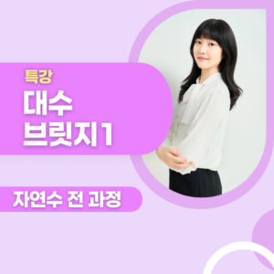 대수브릿지 1 자연수 전 과정